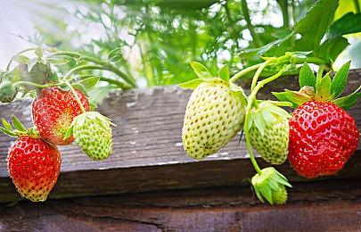 恐怖射击游戏《量子误差》上市预告片分享